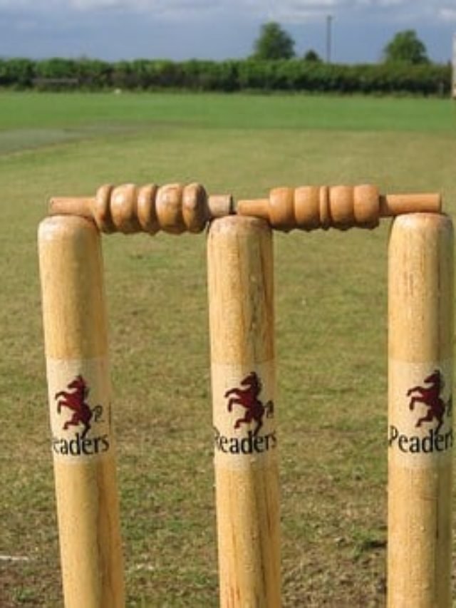 cropped-cricket-stumps.jpg