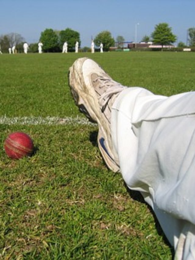 cropped-cricketer.jpg